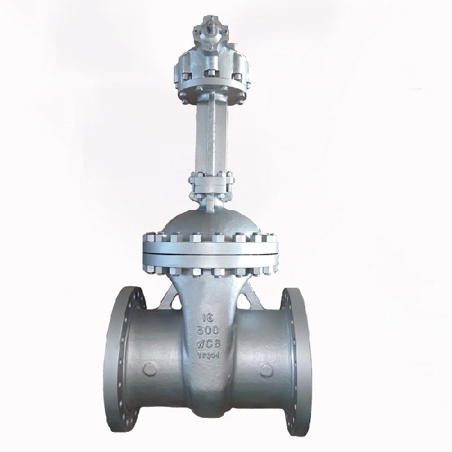 GEAR OPEN API600 GATE VALVE 300LB.jpg